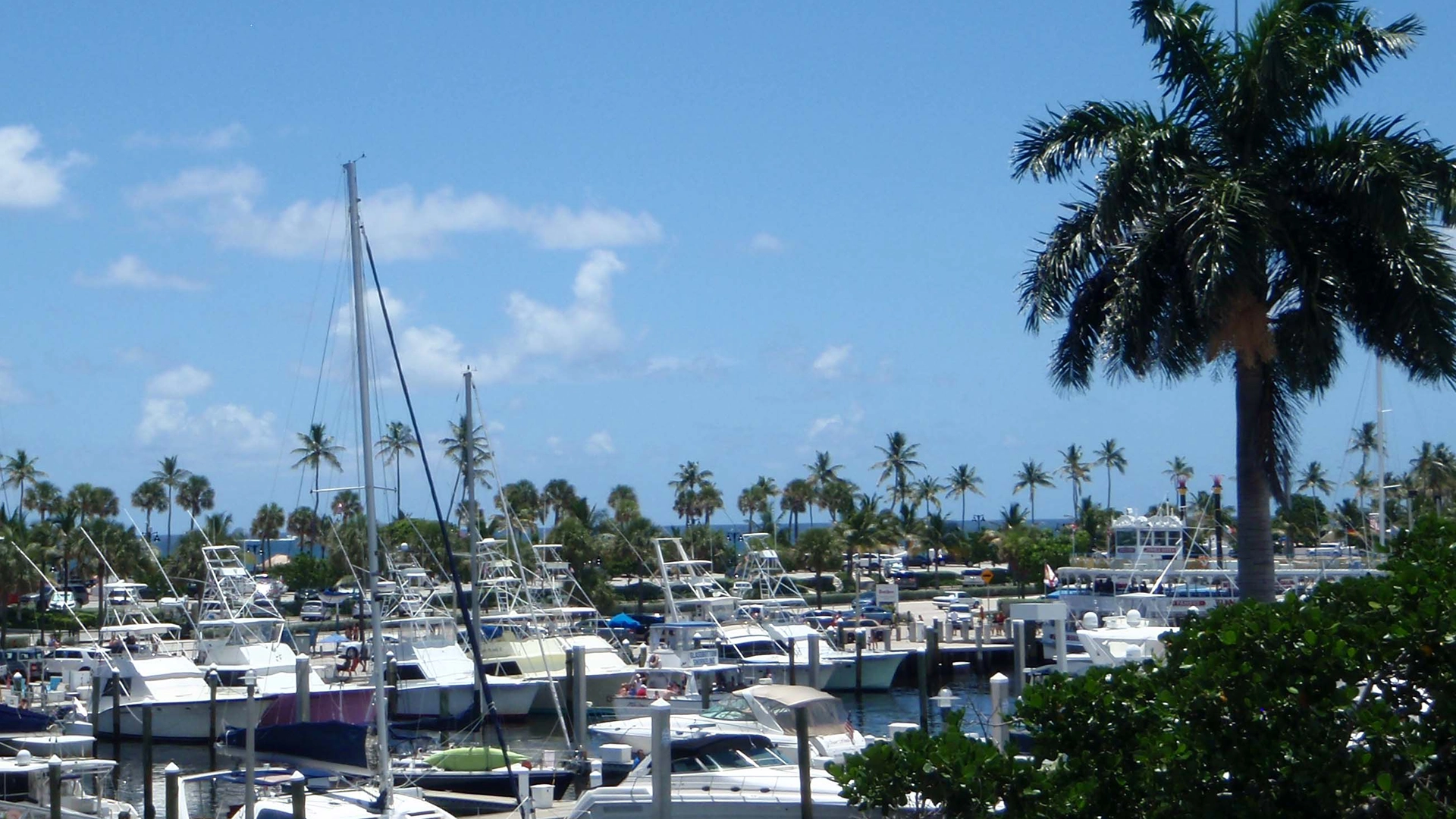 Nicholson Marine Services Boats In A Bay Photo